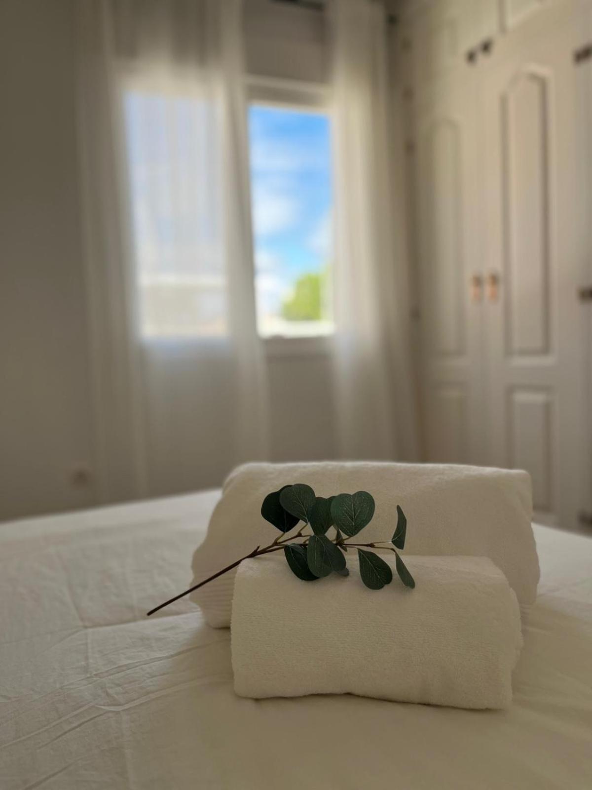 Malaga Prime Location - Stylish Apartment With Free Wifi, Free Parking, Steps From The Historic Center Málaga Exterior foto